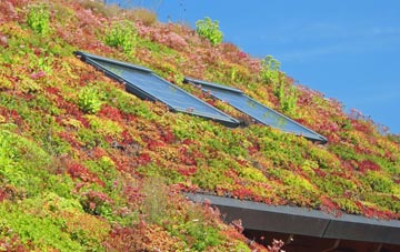 East Everleigh living roof systems