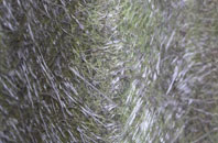 East Everleigh fibreglass roof work